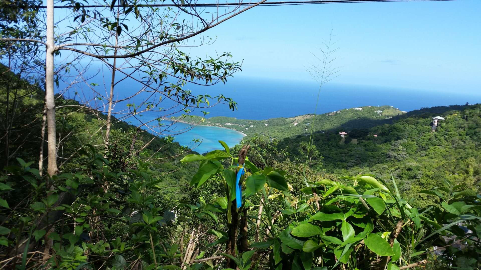 Coastal view from a hillside — from one of Maranda's trips